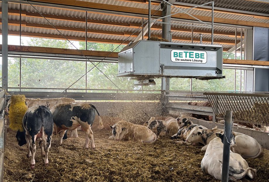 strohexpress beim Einstreuen des Stalls per Streuteller